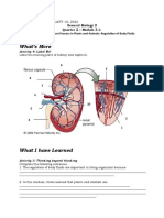 General Biology 2 Module 3.1 LAS