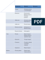 Tabla de Musculos Del Cuerpo