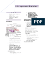 Anatomia Do Reprodutor Feminino