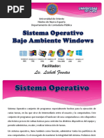 Sistema Operativo Windows