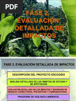 5b Fase 2 Evaluación Detallada de Impactos