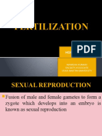 Fertilization in Plants