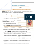 Student Exploration: Circulatory System