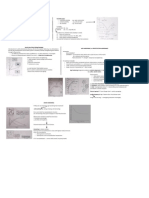 Strengthening Mechanisms: MSE3 Page 2