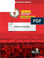 Direitos Humanos