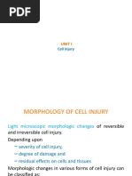 4 I Morpho - Reversible Cell Injury