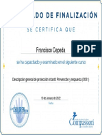 Descripción General de Protección Infantil Prevención y Respuesta (2021) - Certificado