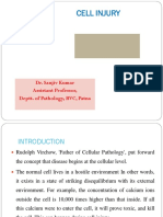 Cell Injury: Dr. Sanjiv Kumar Assistant Professor, Deptt. of Pathology, BVC, Patna