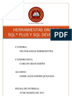 Herramientas Oracle SQL Plus SQL Developer