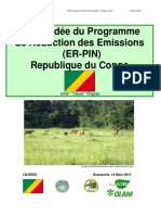 2014 ER-R PIN Republique Du Congo