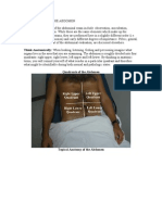 Examination of The Abdomen