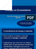 Energia No Ecossistema