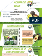 Exportacion de Palta Hass - Grupo 3