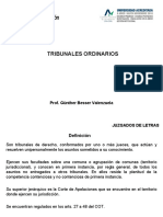 4.1 Tribunales Ordinarios