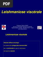 3 MT Leishmaniose Viscérale Gabon FS 220113 VD