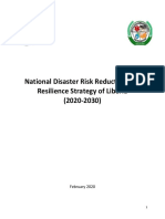 LBR DRR National Strategy Final 20200228