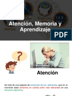 2 Atencion - Memoria - Aprendizaje