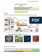 Atividade2 - Organelas - Citoplasmáticas - e - Suas - Funções - Bio - 2EM