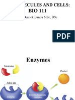 Biomolecules and Cells:: Mr. Derrick Banda MSC, BSC