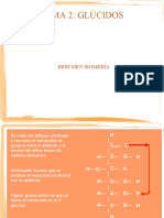 T2 Glucidos 2bio Resumen Isomeria