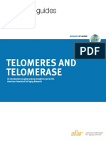 Aging Guides: Telomeres and Telomerase