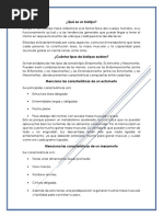 PDF Documento