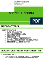 My Co Bacteria