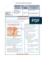 Sesion de Aprendizaje N 04 Ciencia