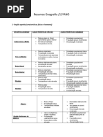 Geografia Resumos 11 Ano