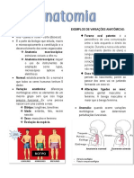 Anatomia - Aula 1