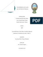 Informe Laboratorio 5 de Transferencia de Calor Convectivo Forzado