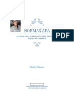 Informe Sobre Normas APA