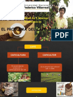 El Problema Del Café en El Perú - Webinar