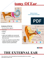 Anatomy of Ear.