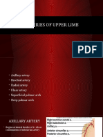 Arteries of Upper Limb.