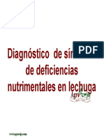 Diagnóstico de Síntomas de Deficiencias Nutrimentales en Lechuga