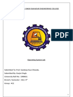 OS Practical File (1900651)