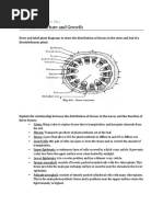 9.1 Plant Structure and Growth: Topic 9: Plant Science (HL)