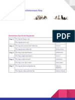 Dichotomous Key Assignment