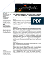 Morphometric Analysis of Fish, Labeo Rohita (Hamilton) From Pond Near Kalayat, Kaithal, Haryana India