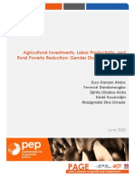 Agricultural Investments, Labor Productivity, and