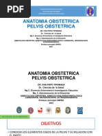 Pelvis Obstetrica