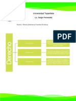 Division Del Derecho