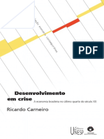 Desenvolvimento em Crise by Ricardo Carneiro