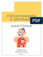 Cronograma de Estudos - Anatomia