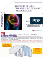 Neuropsicología - Sesión 3 - Los Bloques de Luria (Iii)