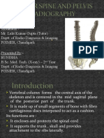 Lumber Spine and Pelvis Radiography