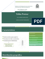 Tribu Proteae 4o Parcial