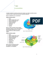 Resumo - Revisões 10º Ano Biomoléculas