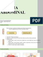 Trauma Abdominal